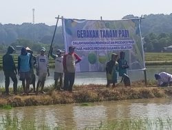 Babinsa Ramil 1422-02/Bantimurung Memantau Kegiatan Dirjen Akabi Kementerian Pertanian di Desa Minasa Baji*