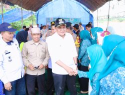 Bupati Suardi Saleh Bersama Staf Ahli Menteri Pertanian Tanam Padi Bersama di Dusun Palla,e Lampoko Balusu