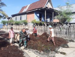 Babinsa Desa Bontosunggu Koramil 03/Tamalatea Bantu Warga Panen Rumput Laut