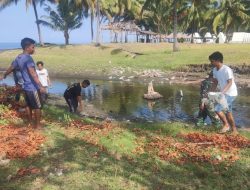 Peduli Lingkungan, Koramil-07/Lembang Kodim 1404/Pinrang Bersama Instansi Terkait Laksanakan Pembersihan Pesisir Pantai Salopi