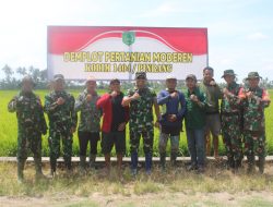 Canggih Dan Modern, Kodim 1404/Pinrang Semprot Hama Wereng Gunakan Drone Di Lahan Demplot