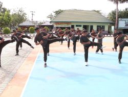 Tingkatkan Kemampuan Prajurit Personel Kodim 1425 Jeneponto Melaksanakan Latihan Beladiri Praktis