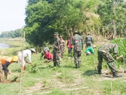 Lestarikan Alam Rawan Banjir, Kodim 1412/Kolaka Gelar Karya Bhakti Tanam Ratusan Pohon Pelindung