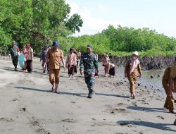 Kodim 1424/Sinjai Gelar Karya Bakti Penanaman Pohon Mangrove dan Pembersihan Pantai dalam Rangka HUT TNI Ke-79