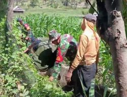 Gelar Karya Bakti TNI Babinsa Koramil 1245-03/Tamalatea Kodim 1425 Jeneponto Ajak Masyarakat Peduli Kebersihan Lingkungan