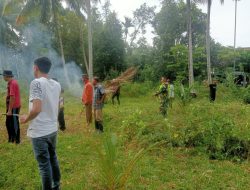 Babinsa Koramil 07/Simpang Tiga Bersama Warga Gotong Royong Bersihkan Lahan Musala di Desa Cerucok Timur