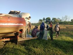 Agar Cepat Dan Efisien, Babinsa 14/Libureng Dampingi Petani Panen Padi Gunakan Mesin Combine