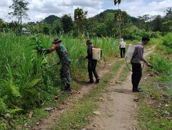 Babinsa Kanco Koramil Cina Bersama Warga Gelar Karbak Pembersihan Rumput Liar