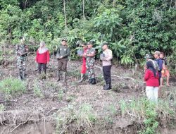 Tanam Puluhan Pohon Jati, Bentuk Kepedulian Danramil 16/Tonra Bersama Pemerintah Lestarikan Alam 