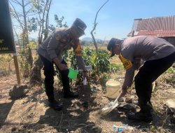 Dandim 1425/Jeneponto Bersama Forkopimda Tanam Ratusan Pohon Pada Pembukaan TMMD Ke 122 TA 2024