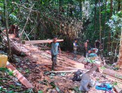 Satgas TMMD Reguler Ke-122 Kodim 1206/Putussibau Melaksanakan Proses Penyiapan Bahan Pembuatan Jembatan