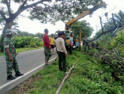 Dengan Sigap Babinsa Posramil Kuala Pesisir bersihkan Pohon Tumbang yang terkena Kabel Listrik dan Sebagian badan Jalan