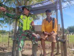 Manfaatkan Gubuk Sederhana, Babinsa Posramil Kuala Pesisir Komsos Dengan Petani