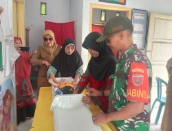 Wujudkan Balita Sehat Di Desa Binaan, Babinsa Kajuara Ramil 06/Awangpone Dampingi Layanan Posyandu