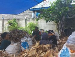 Babinsa Ulaweng Bantu Warganya Kupas Jagung Pasca Panen