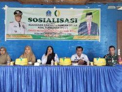 Babinsa Koramil 12/Cina Hadiri Sosialisasi Ketahanan Pangan Di Desa Walenreng