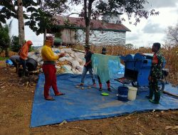 Babinsa Koramil 10 Ponre Dampingi Petani Desa Bolli Rontok Jagung