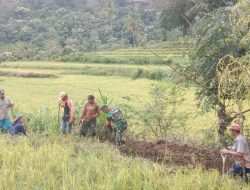 Babinsa Koramil 20/Bontocani Gotong Royong Bersama Warganya Gali Saluran Irigasi Pertanian
