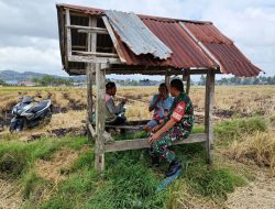 Melalui Komsos, Babinsa Koramil 1407-13/Sibulue Beri Motivasi Para Petani