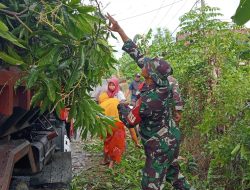Babinsa Polewali Koramil 1407-13/Sibulue Kerja Bakti Bersihkan Ranting Dan Pohon