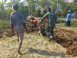 Babinsa Koramil 1407-19/Kahu Bantu Petani Garap Lahan Untuk Tanam Jagung