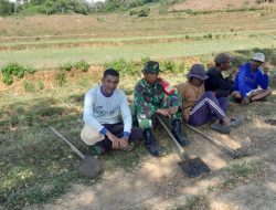 Tak Memandang Tempat, Babinsa Koramil 16/Tonra Gelar Komsos Dengan Petani Di Desa Binaan