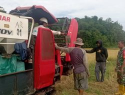 Babinsa Kahu Dampingi Warga Memanen Padi Menggunakan Mesin 