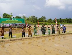 Danrem 181/PVT Hadiri Tanam Padi Perdana di Lahan Cetak Sawah Baru