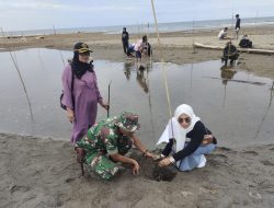 Hindari Abrasi Pantai, Kodim 1412/Kolaka Karya Bhakti Tanam Ratusan Pohon di Pesisir