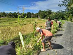 Babinsa Arabika Koramil-02/Sinjai Barat Kodim 1424/Sinjai Bersama Warga Karya Bakti Pembersihan Jalan