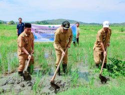 Bupati Suardi Saleh Hadiri Upacara Adat Mappalili Musim Tanam 2024-2025 di Desa Nepo