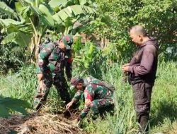 Penanaman Bibit Pohon keras Cegah Longsor.