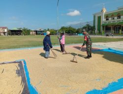 Babinsa Koramil-03 Kodim 1404/Pinrang Bantu Petani Jemur Padi