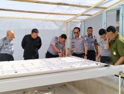 Program Pembinaan Inovatif : Rutan Palu Siapkan Lahan Budidaya Hidroponik Bagi Warga Binaan