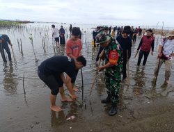 Babinsa Koramil-04/Sinjai Timur Kodim 1424/Sinjai Gelar Karya Bakti Penanaman Pohon Mangrove
