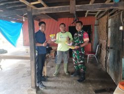 Babinsa Koramil 1425-02/Bangkala Bersama Pengawas Perusahaan DGW Salurkan Bantuan Pupuk dan Tinjau Lahan Demplot Jagung