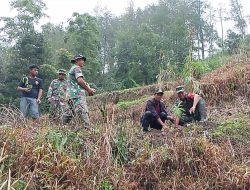 Personel Koramil-02/Sinjai Barat Kodim 1424/Sinjai Gelar Karya Bakti Penanaman Pohon Keras Bitti