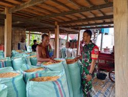 Beri Motivasi, Koramil 02/Dua Boccoe Sambangi Petani Jagung Di Desa Binaan