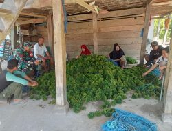Beri Motivasi Kepada Petani Rumput Laut, Babinsa Mare Komsos Dengan Warga Binaan