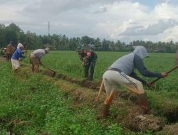 Babinsa Desa Corawali Koramil 11/Barebbo Bersama Warga Kerja Bakti Bersihkan Saluran Irigasi