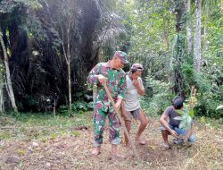 Babinsa Koramil 1424-05/Sinjai Selatan Kodim 1424/Sinjai Bersama Warga Laksanakan Karya Bakti Penanaman Bibit Pohon Manggis