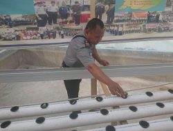 Mulai Berkecambah, Program Hidroponik Rutan Palu Terpantau Bejalan Baik dan Lancar
