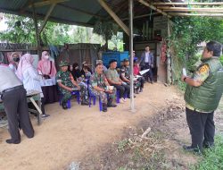 Babinsa Koramil 0907/01 Tartim Dan Penyuluh Gelar Sekolah Lapang Pertanian Sawah