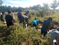 Lancarkan Usaha Tani, Babinsa Koramil-06 Kodim 1404/Pinrang Gotong-royong Perbaiki Jalan Area Pertanian