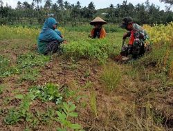 Babinsa Bantu Petani Lakukan Pembersihan Lahan