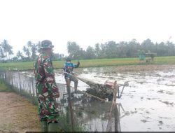 Dukung Ketahanan Pangan, Babinsa Koramil-04 Kodim 1404/Pinrang Dampingi Petani Bajak Sawah Gunakan Traktor