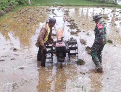 Sukseskan swasembada pangan Babinsa Koramil 1405-07/Tanete Rilau turun langsung ke Sawah bantu petani bajak sawah