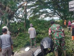 Babinsa Koramil-04 Kodim 1404/Pinrang Bersama Warga Gotong Royong Bersihkan Ranting Pohon