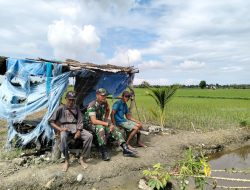Babinsa Lakukan Komsos dengan Warga, Sekaligus Pantau Perkembangan Tanaman Padi