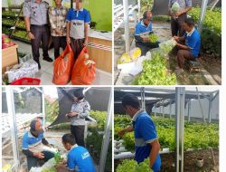 Wujud Lapas Produktif, Lapas Palu Pasarkan Hasil Panen Kebun Lapas